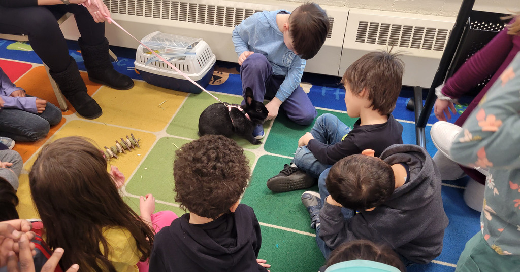 students petting rabbit